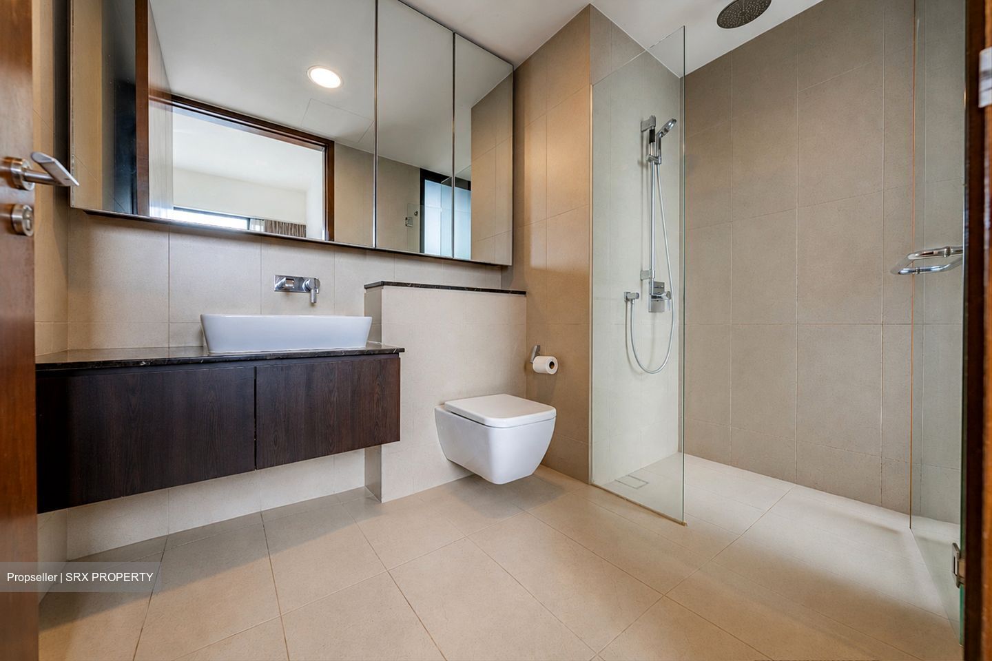 Spottiswoode Residences (D2), Condominium #563699641